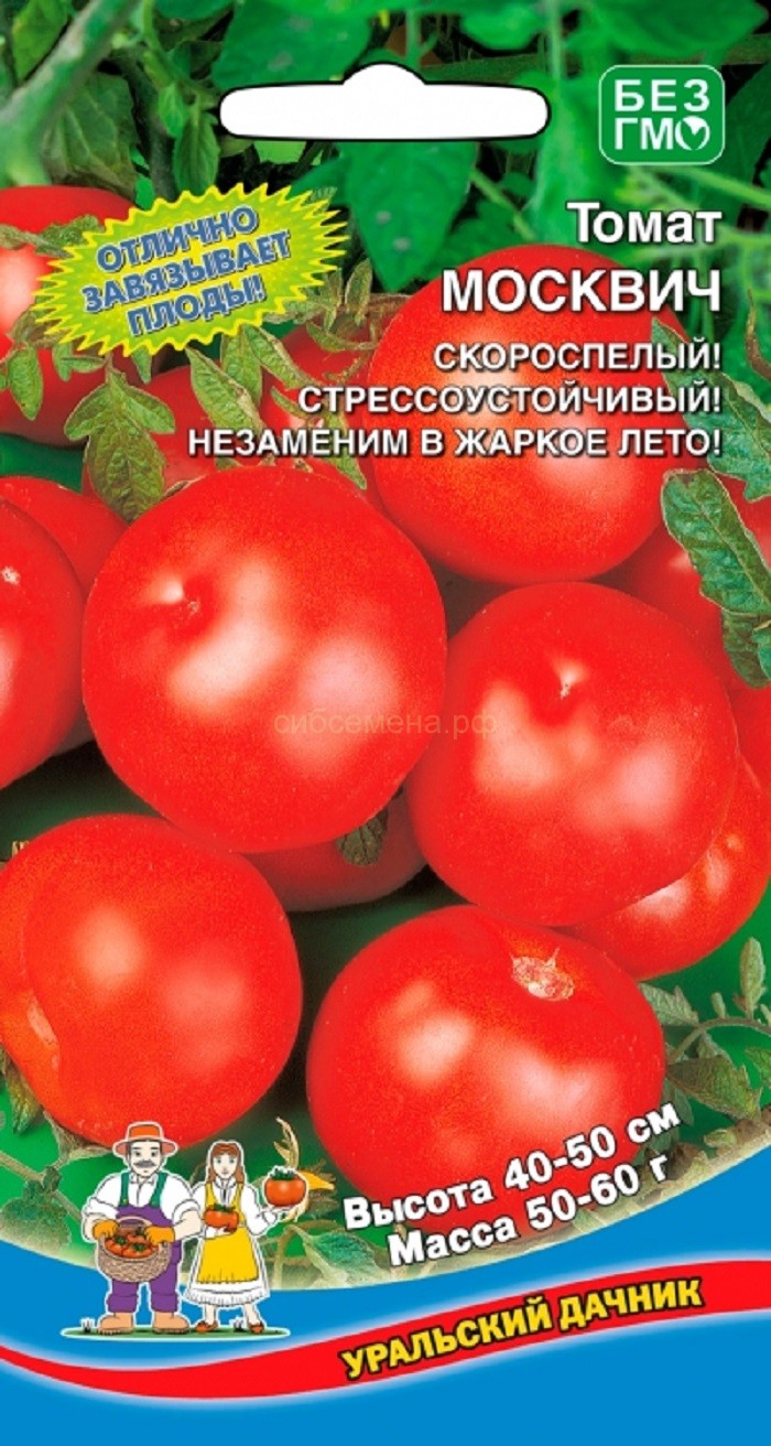 Томат москвич отзывы урожайность. Томат Москвич (уд) 20шт. Цв.п.. Семена томат Москвич. Помидоры москвичка.