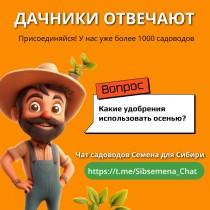 ДАЧНИКИ НА СВЯЗИ! 