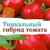  Видеообзор Сады России