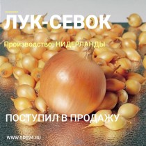 СТАРТОВАЛИ ПЕРВЫЕ ПРОДАЖИ ЛУКА-СЕВКА 2023 г.